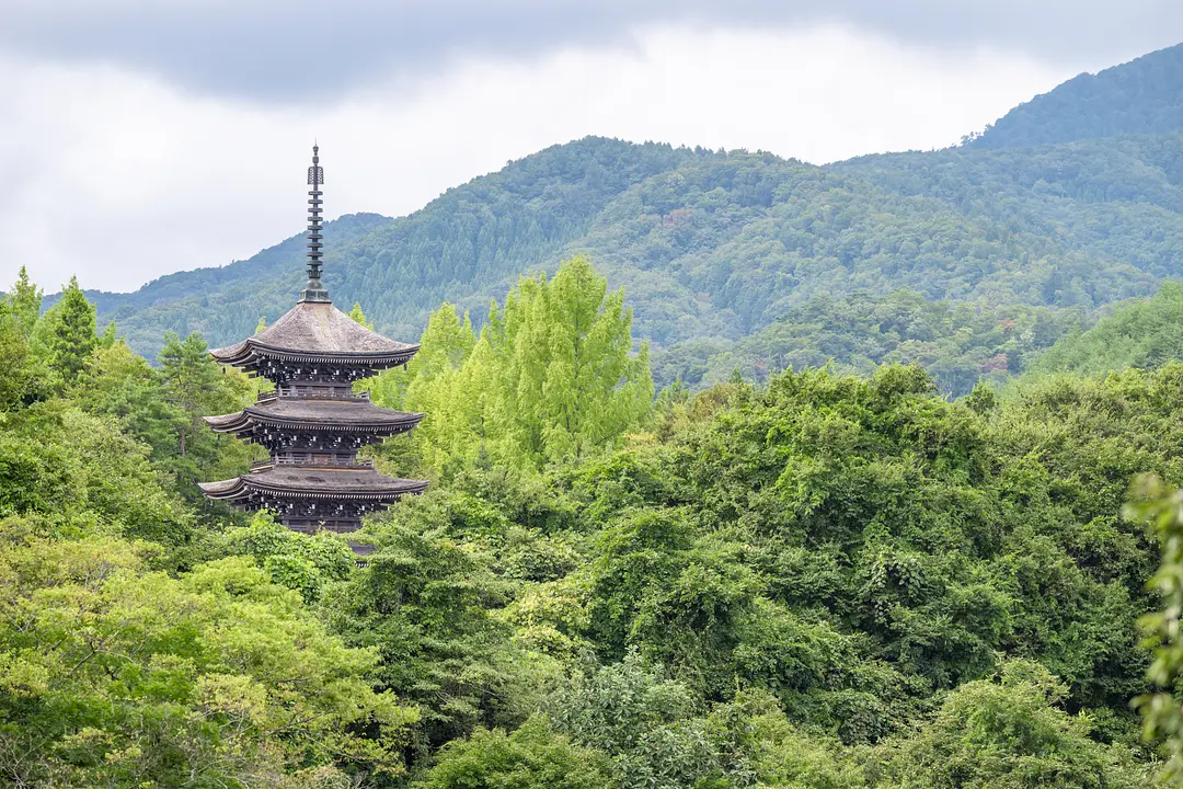 定義如来　西方寺