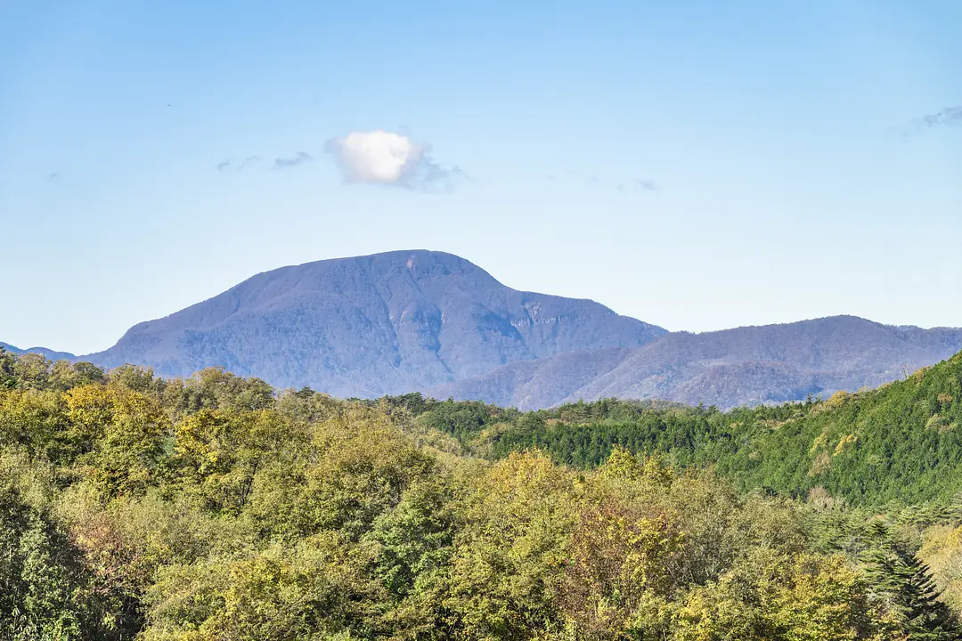 大東岳