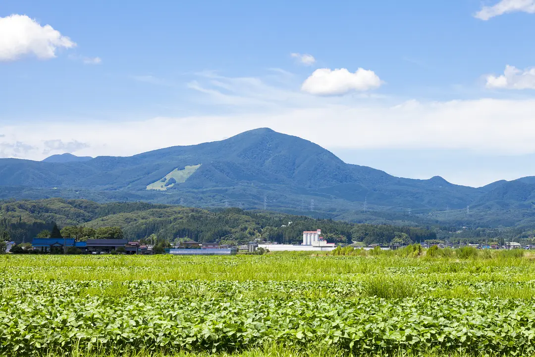 泉ヶ岳