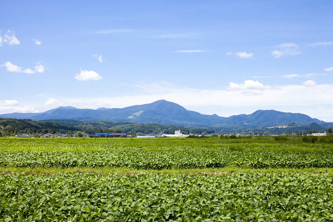 泉ヶ岳
