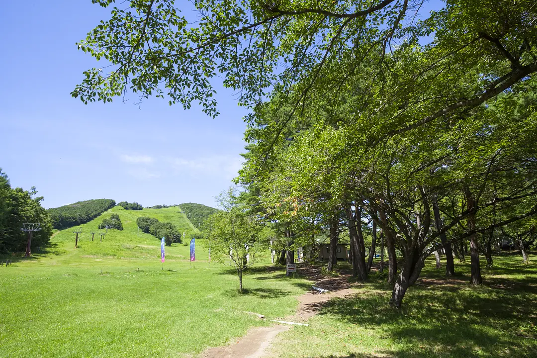 泉ヶ岳