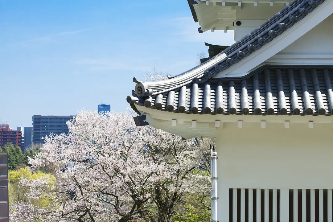 仙台城跡脇櫓付近