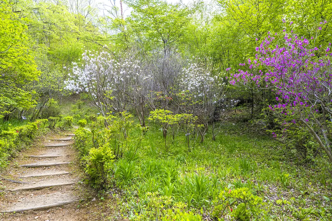 仙台市野草園