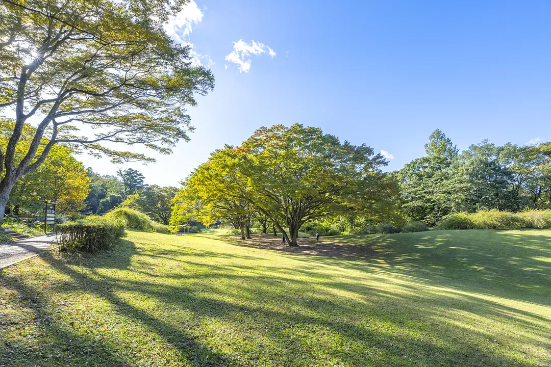 仙台市野草園