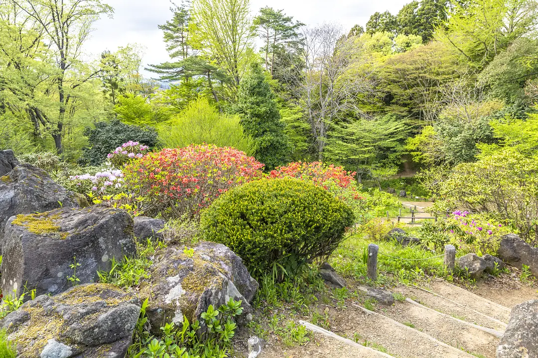 仙台市野草園