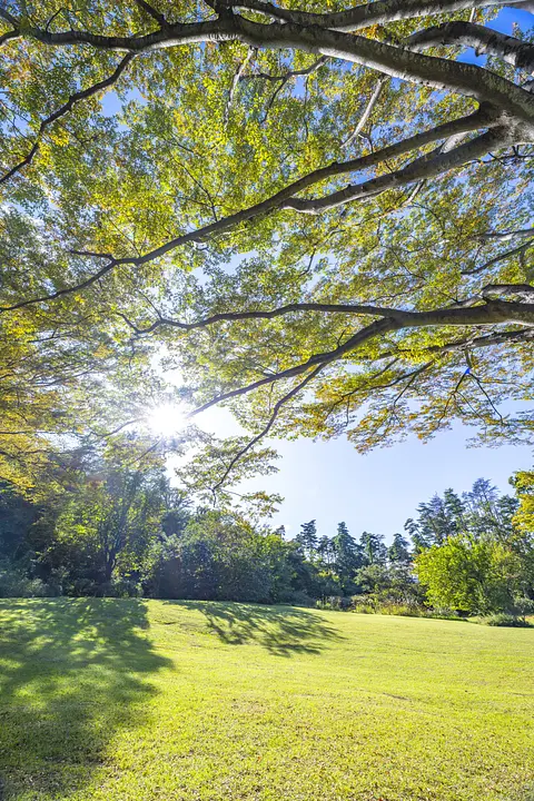 仙台市野草園