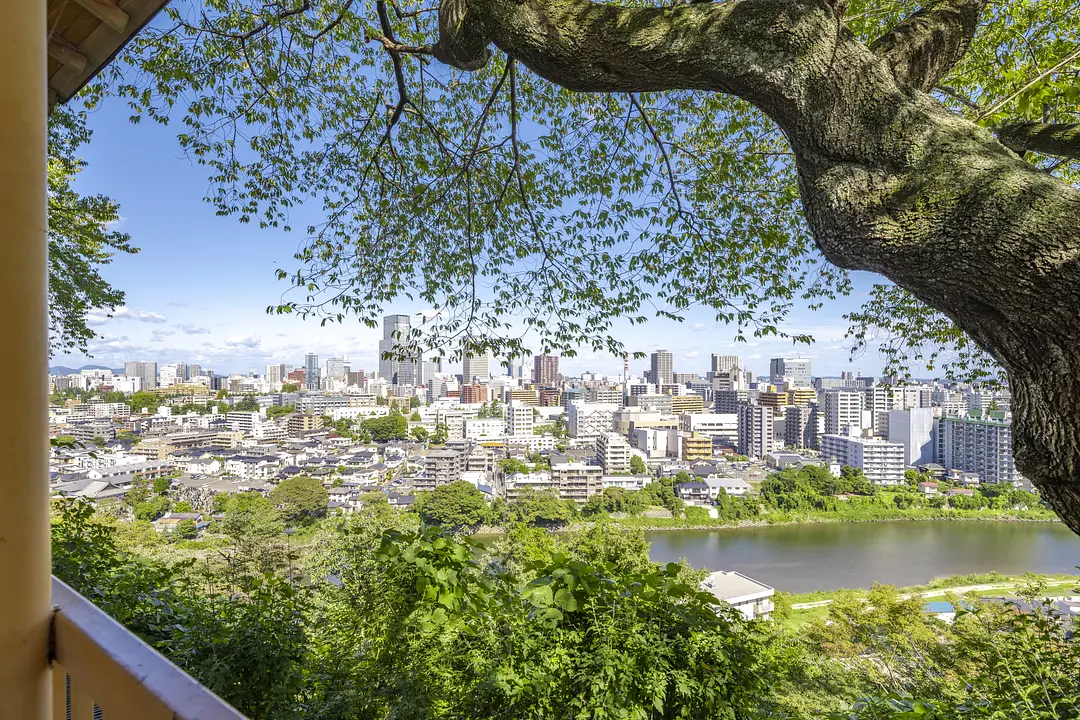 仙台市全景