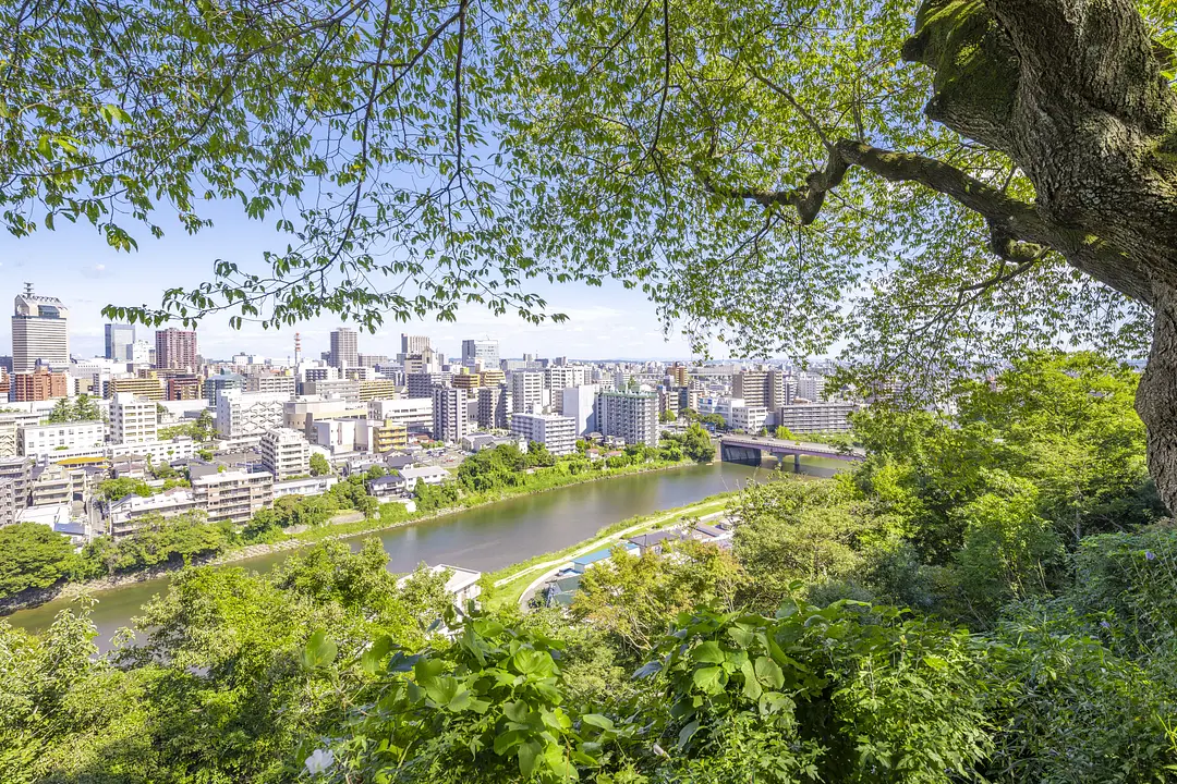 仙台市全景