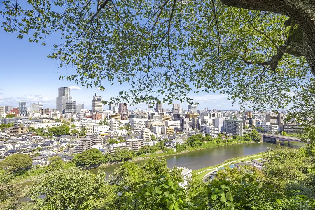 仙台市全景