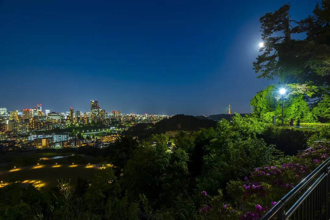 仙台市全景