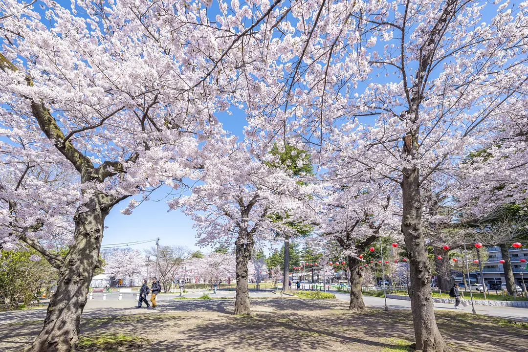 西公園