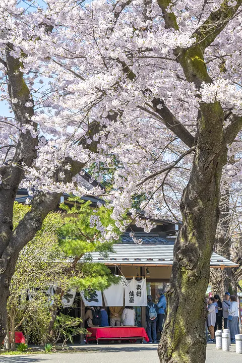 西公園