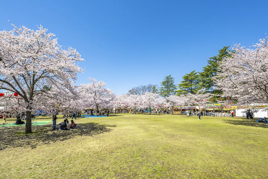 西公園