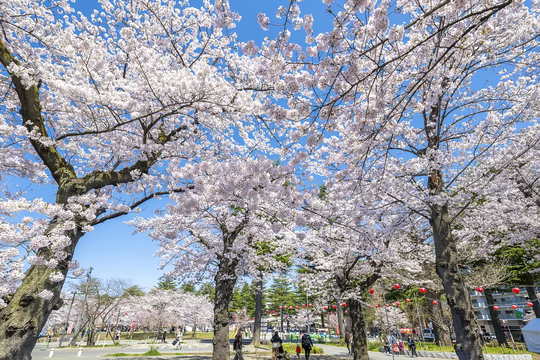 西公園