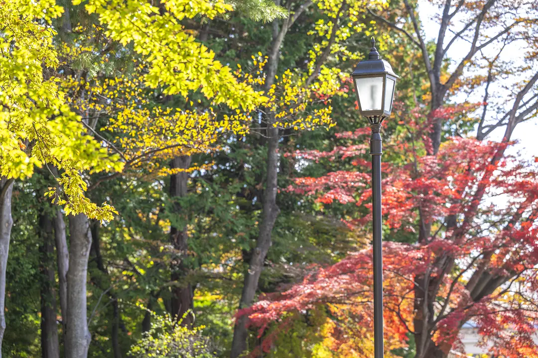 西公園