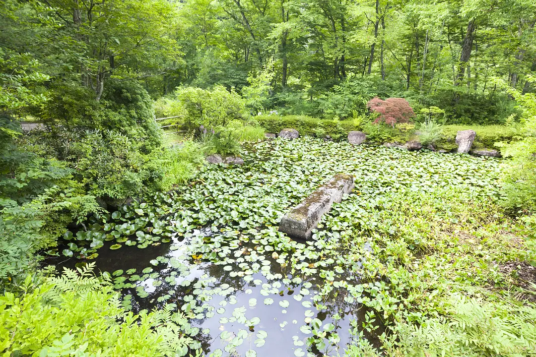 秋保大滝植物園