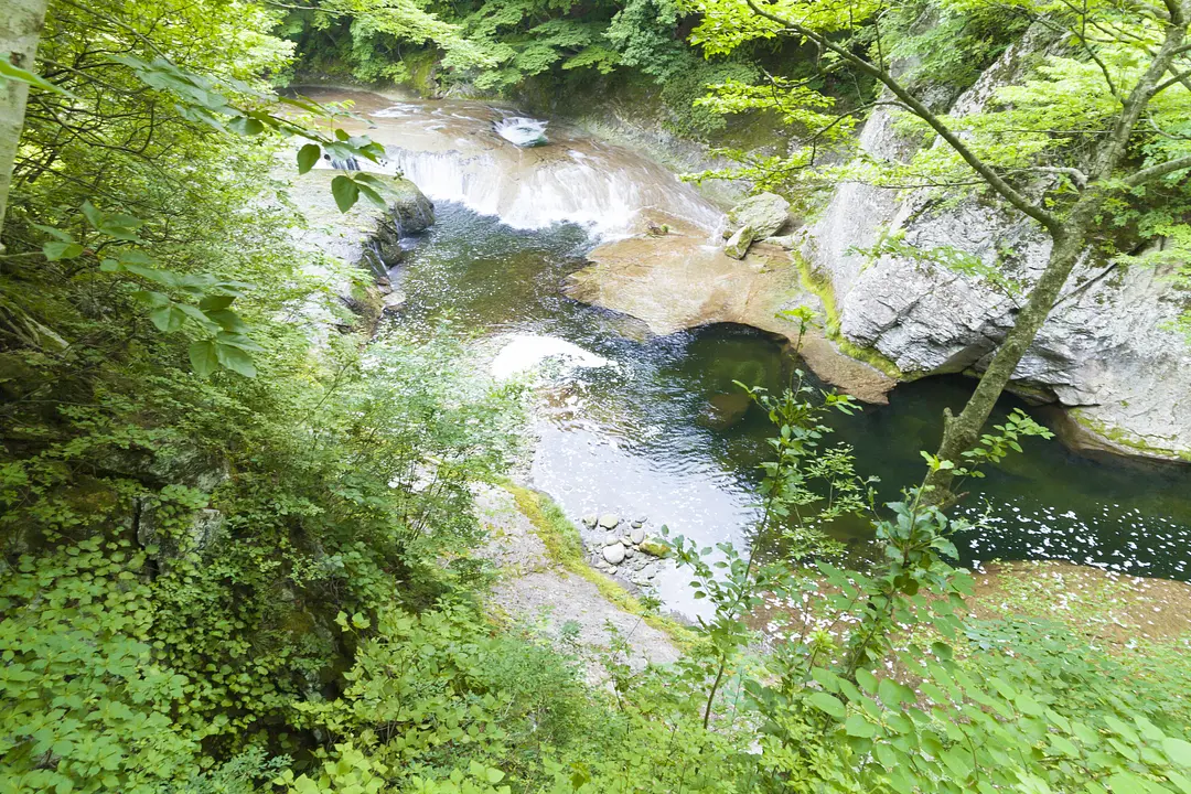 秋保大滝植物園