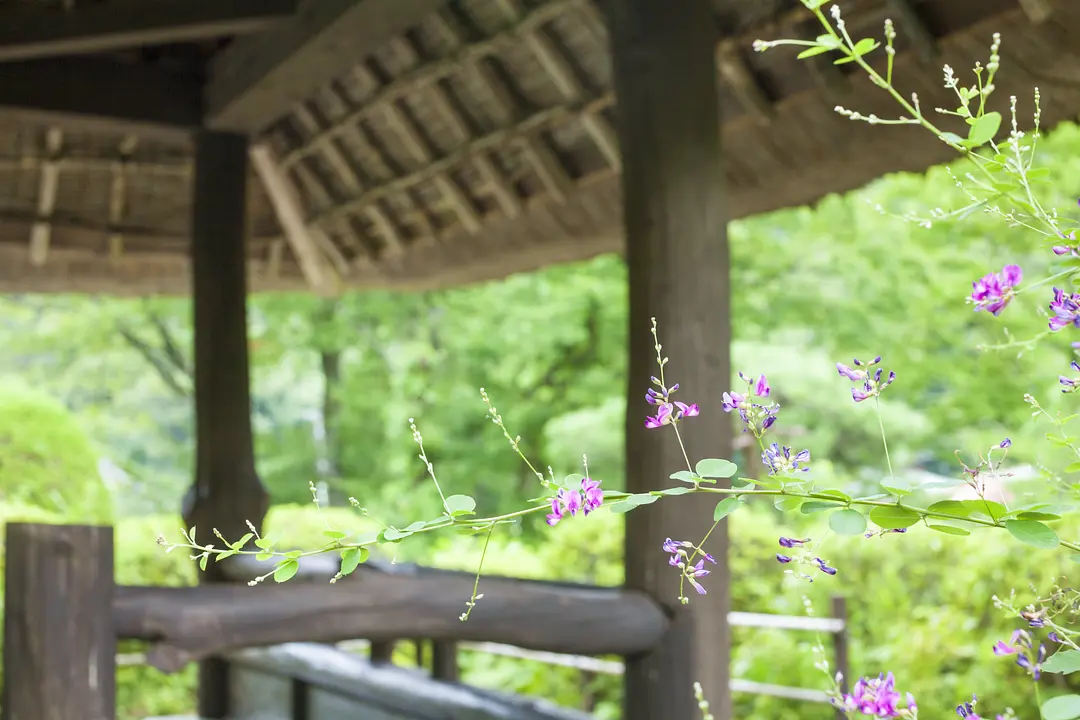 秋保大滝植物園