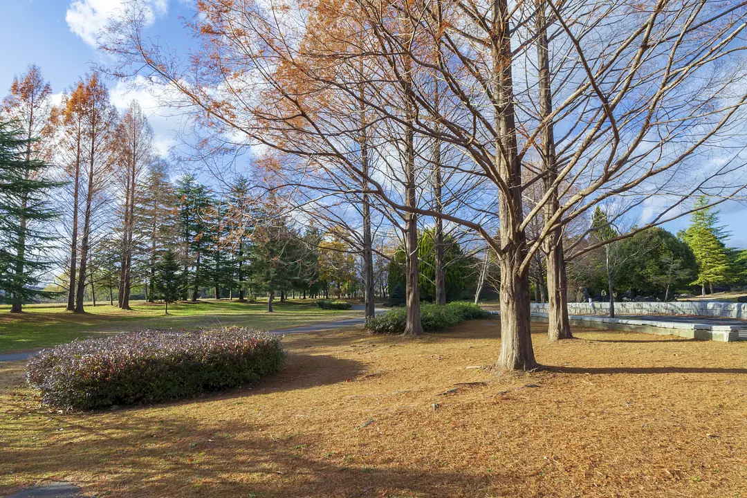 七北田公園