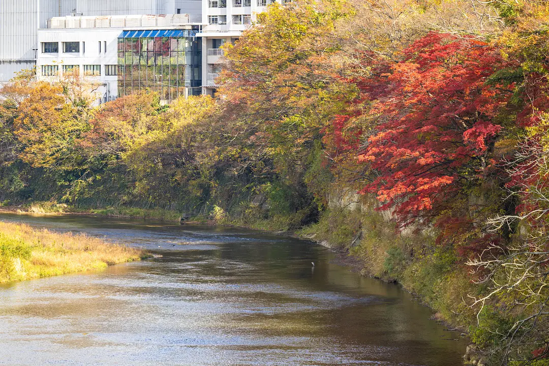 広瀬川