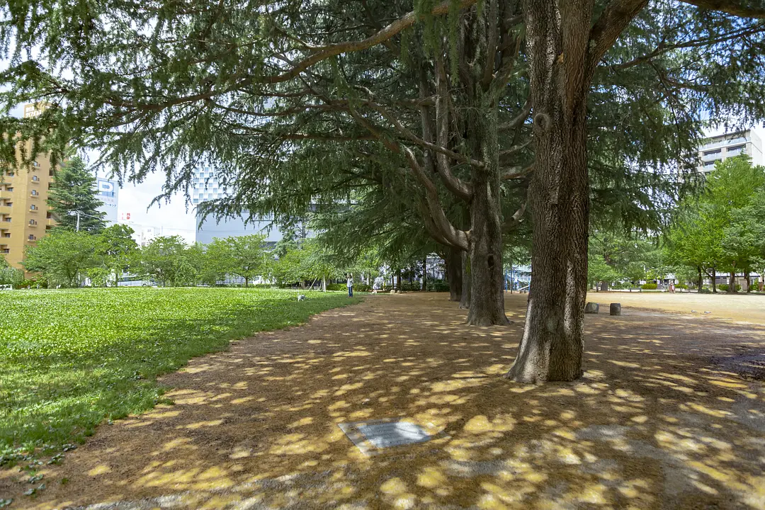 錦町公園