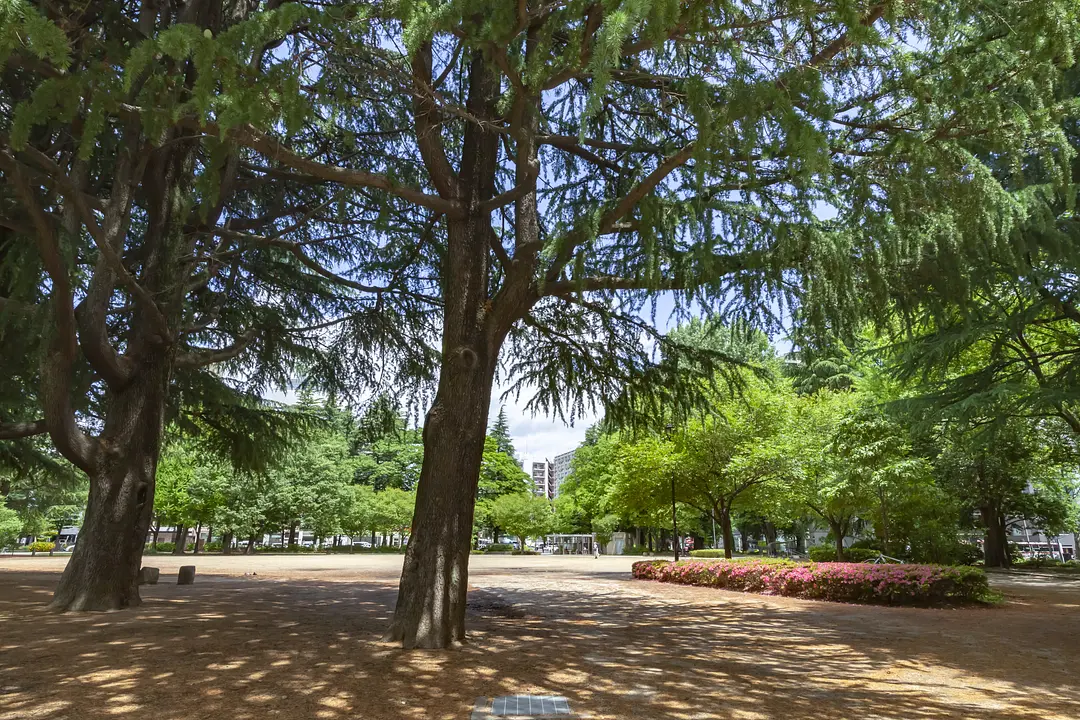 錦町公園