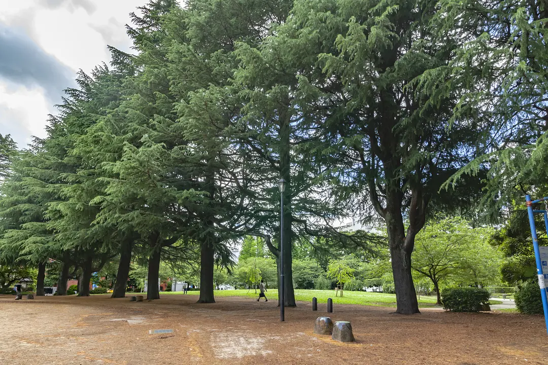 錦町公園