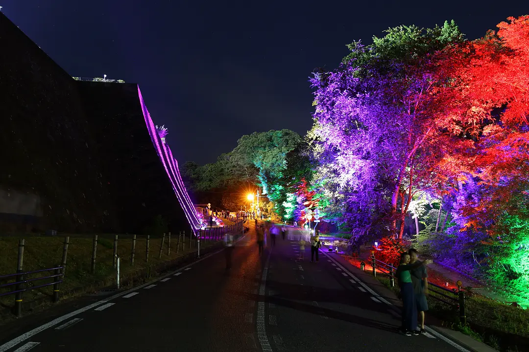 伊達光路