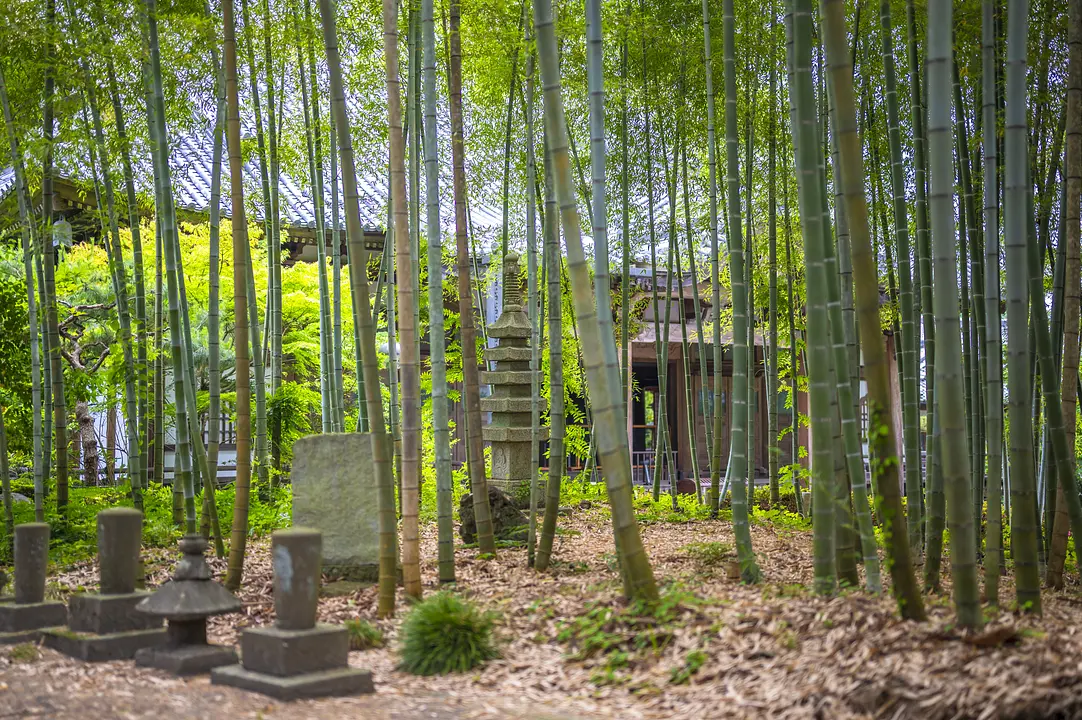 資福寺