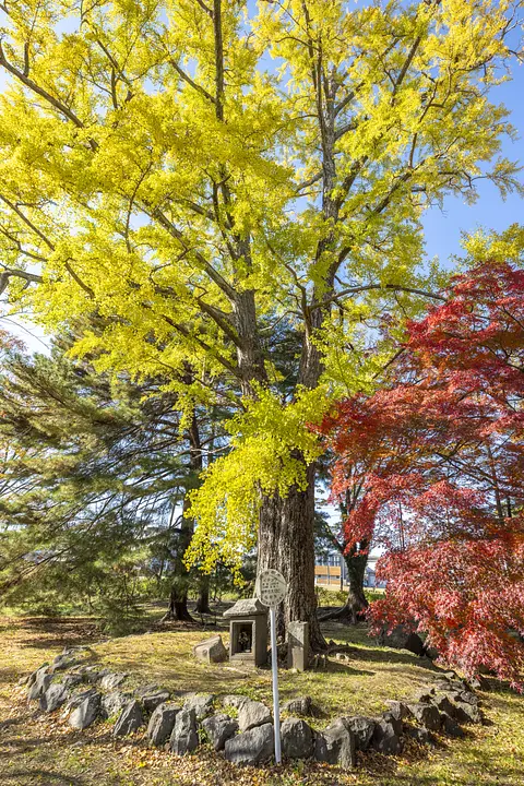陸奥国分寺薬師堂