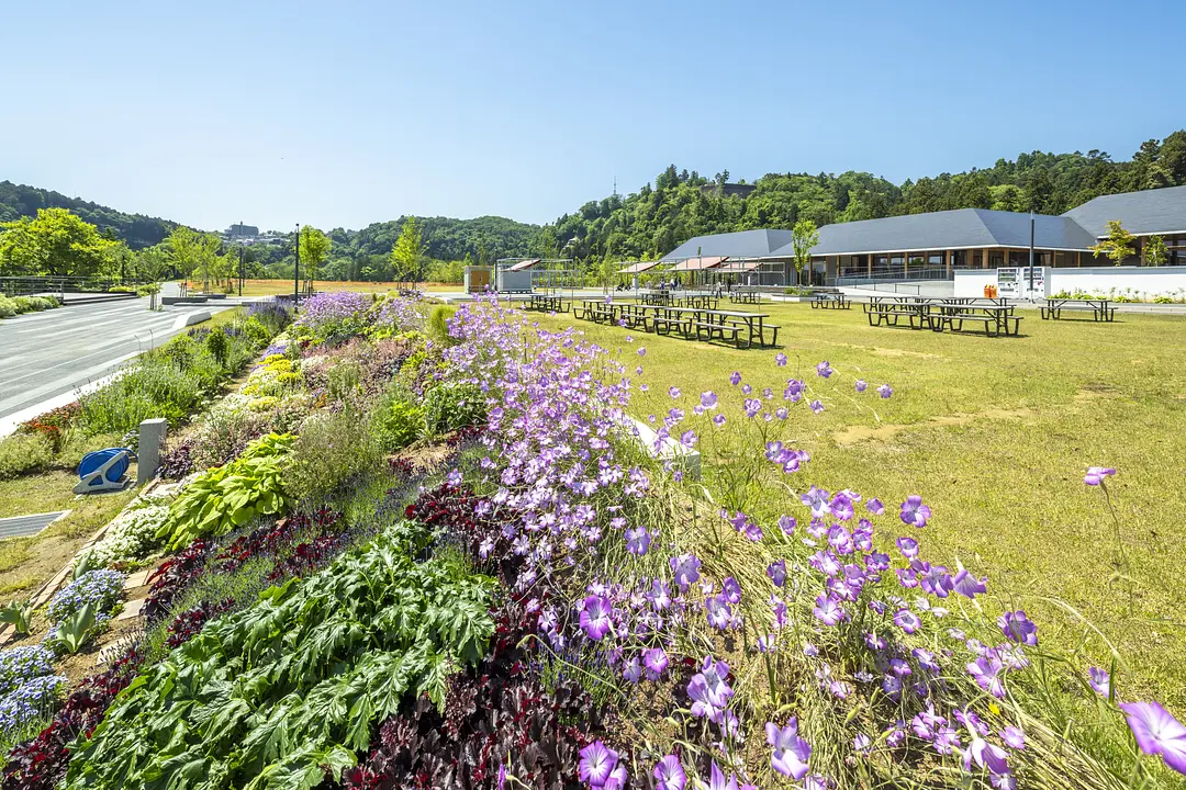 青葉山公園
