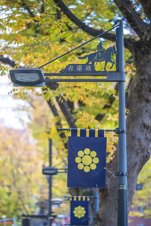 青葉通り