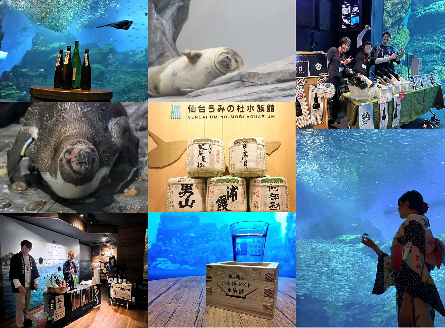 日本酒ナイト水族館イメージ.png