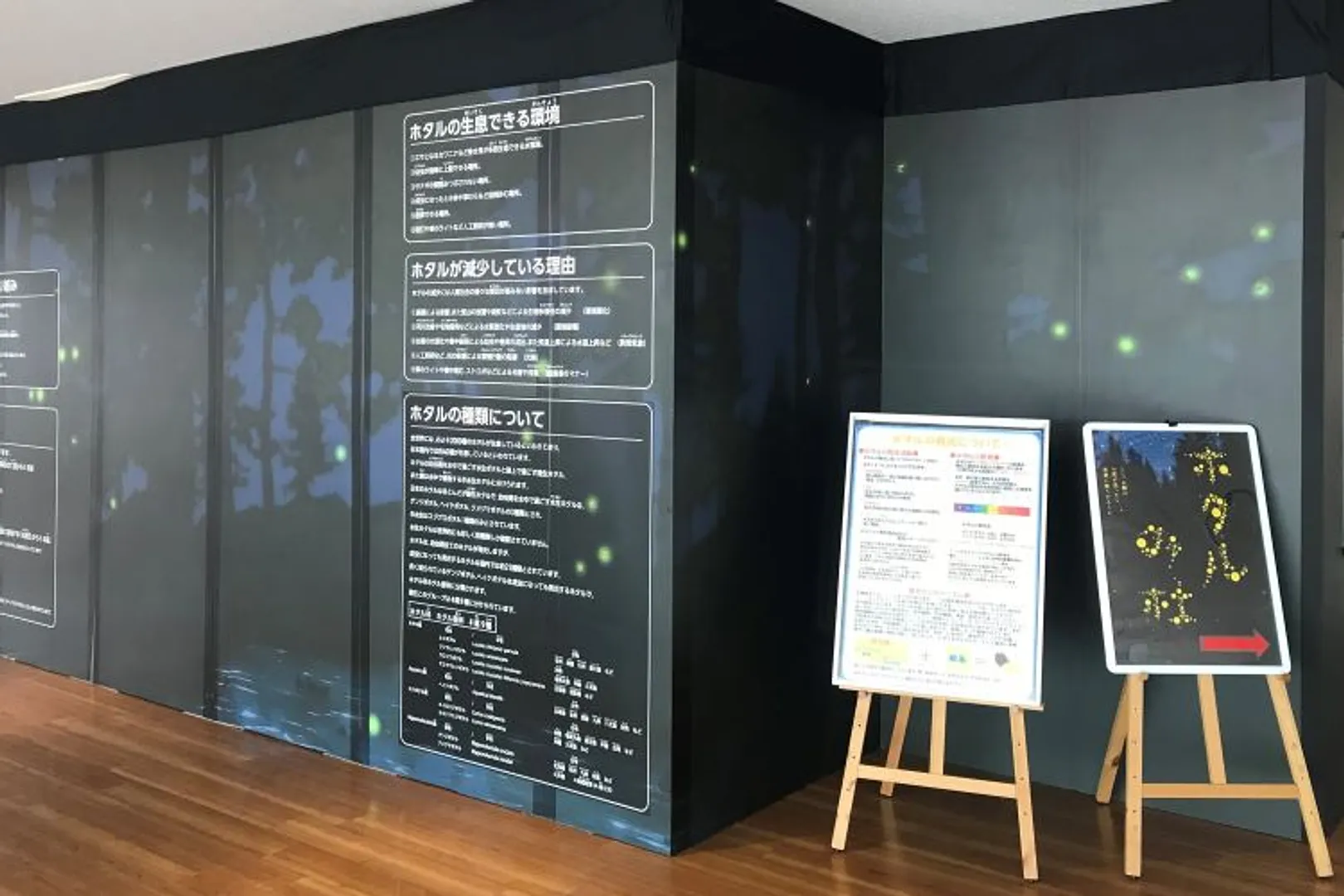 特別展示「ホタルの杜」イメージ.jpg
