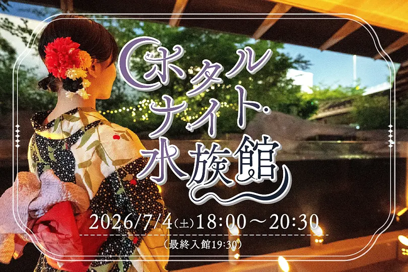 20260704_hotarunight_KV.jpg