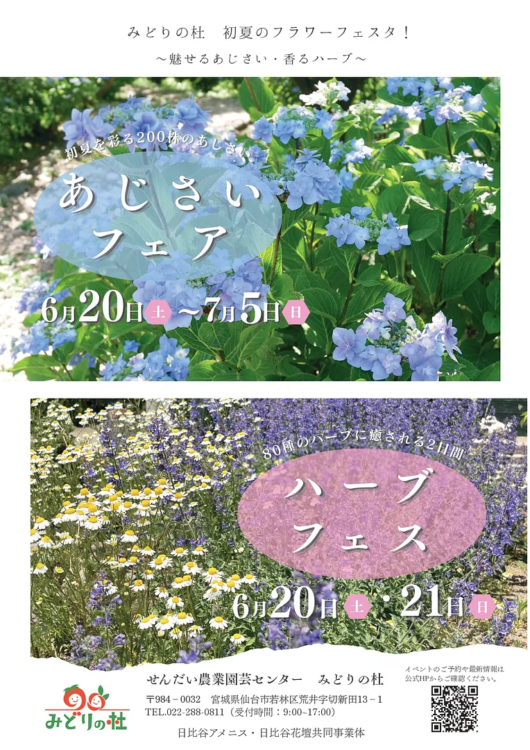 あじさいハーブ フライヤー2026_page-0001.jpg