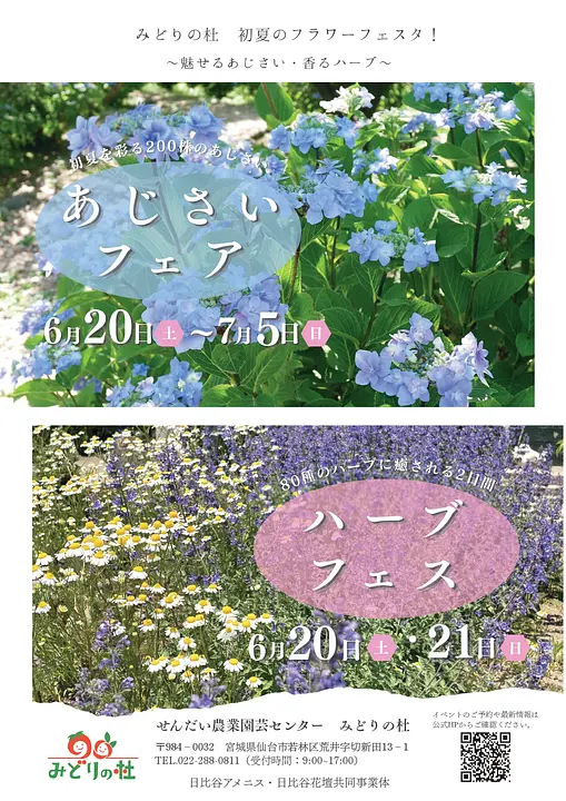あじさいハーブ フライヤー2026_page-0001.jpg