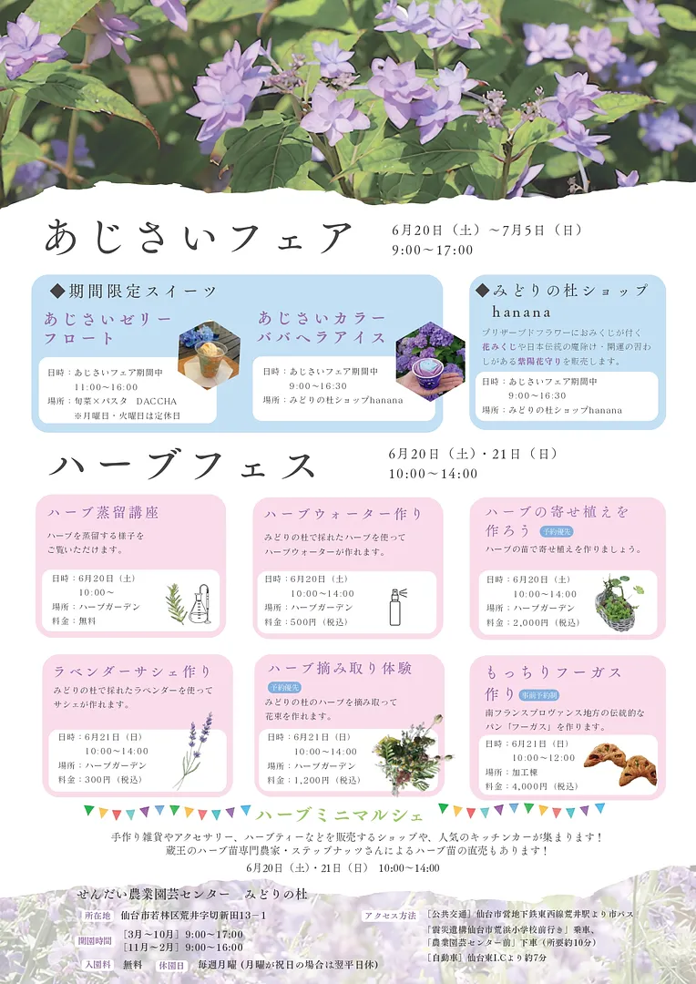 あじさいハーブ フライヤー2026_page-0002.jpg