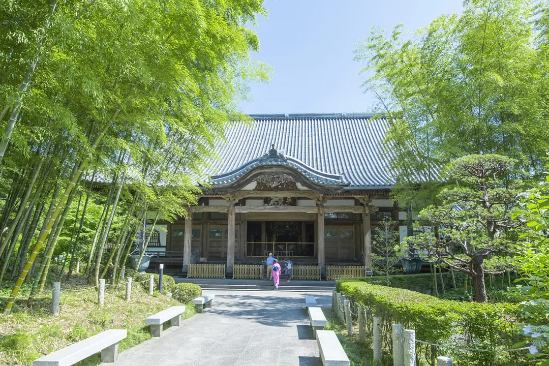 IMG_3574本堂前.webp