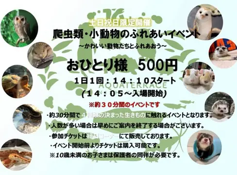 いきものとのふれあいイベント「Fu・Re・Ru」