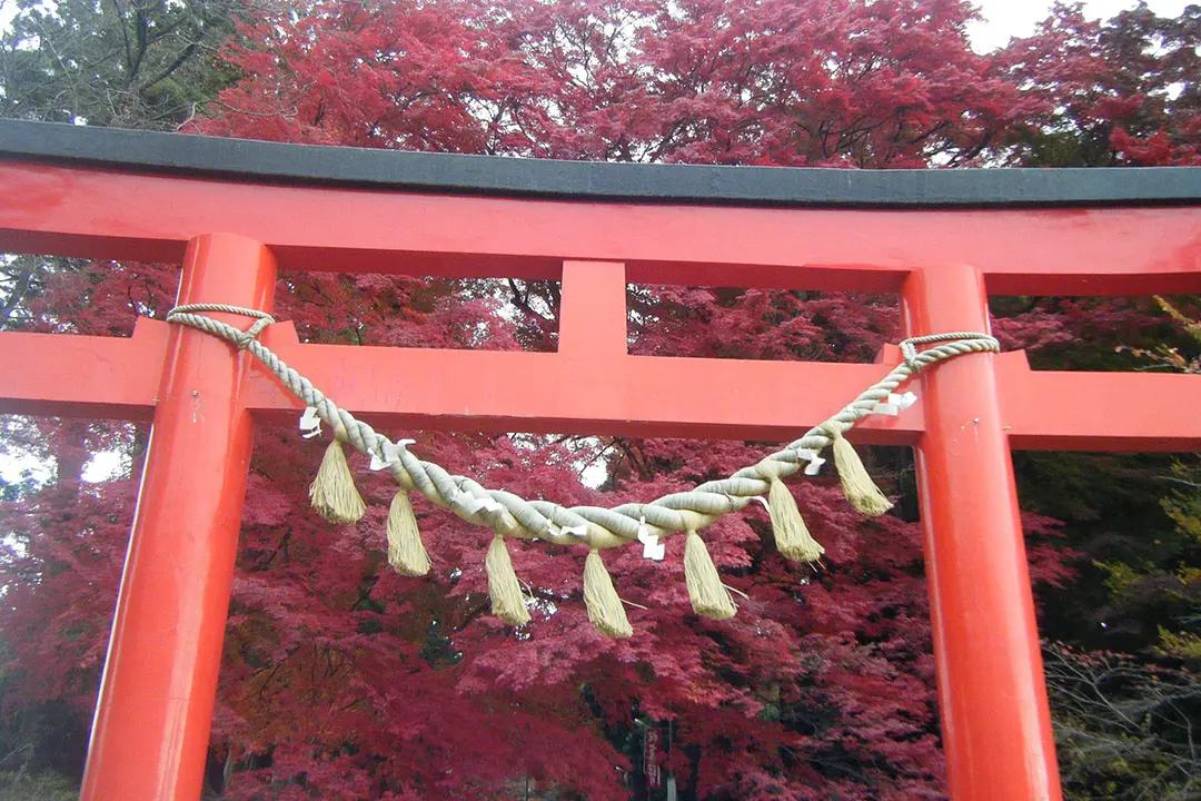 賀茂神社