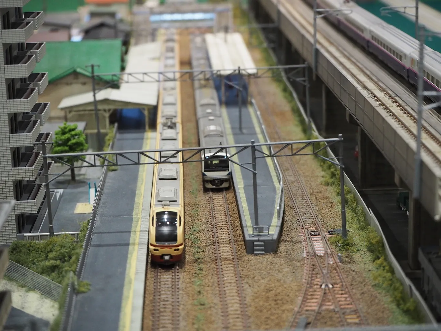 Nゲージ鉄道模型運行会.JPG