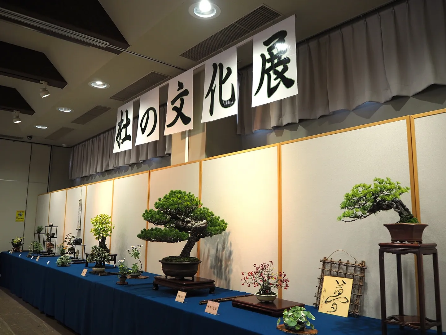 杜の文化展.JPG