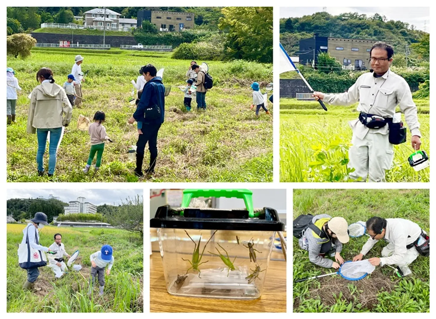 2026.9.27 むかっちはかせの昆虫採集.jpg