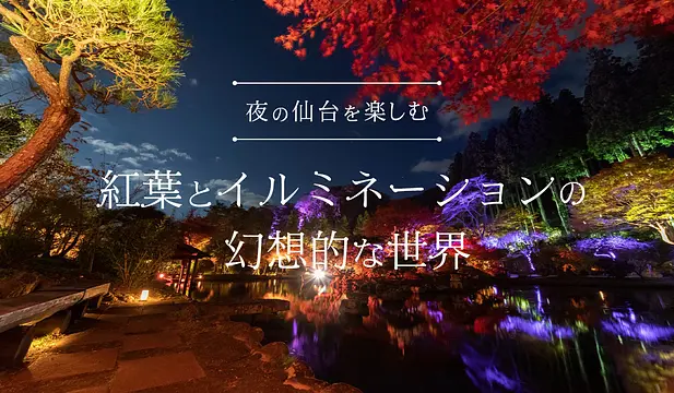 夜の仙台を楽しむ 紅葉とイルミネーションの幻想的な世界