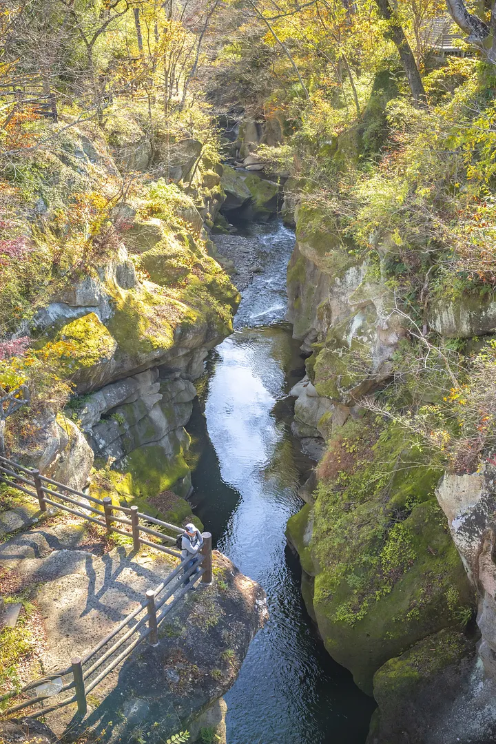 DSC_8763.JPG