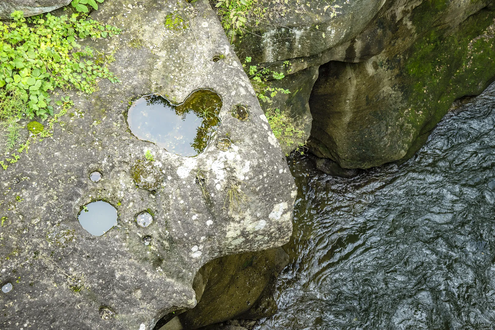 DSC_1809.JPG