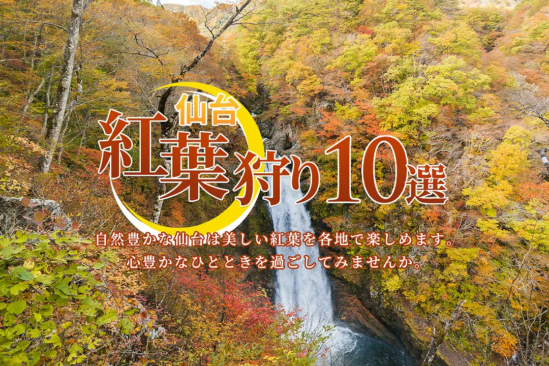仙台・紅葉狩り10選