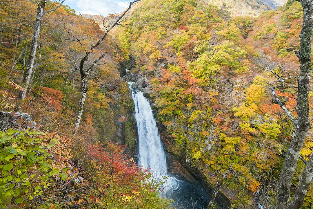 秋保大滝