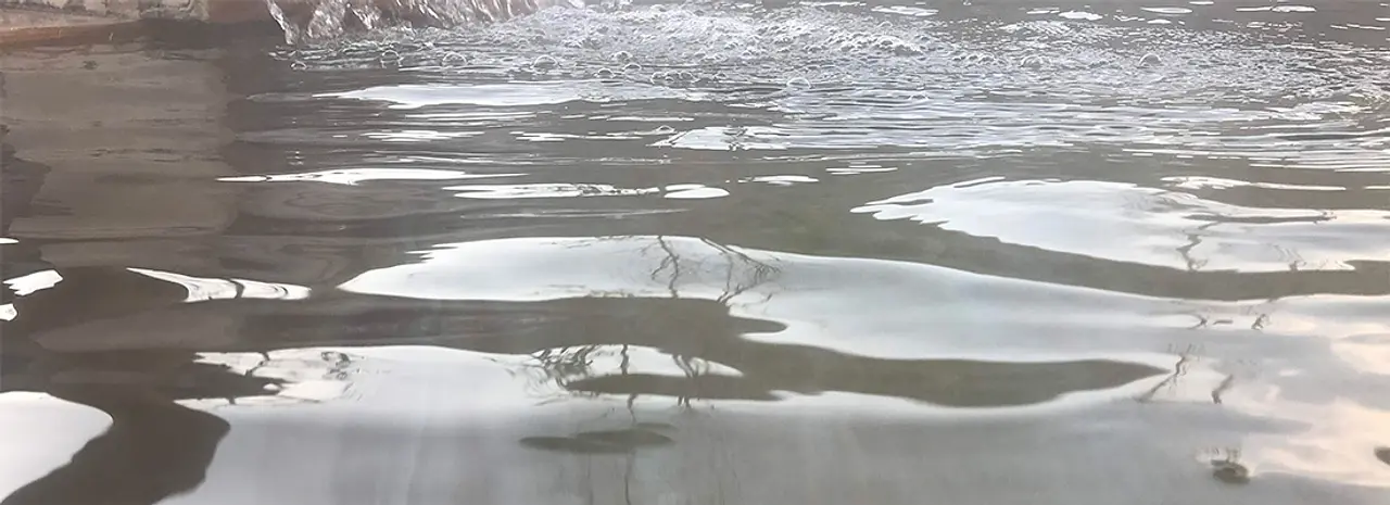 65034ab4aa50e1645baf81e039841880f3637608 (1).jpg